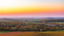 Cédric GIRARD - Studio Bouinotte